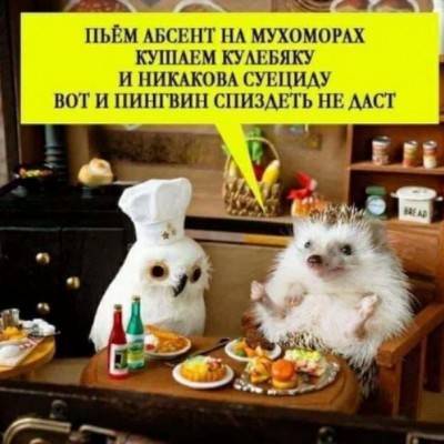 Так себе картинки   "Финал"