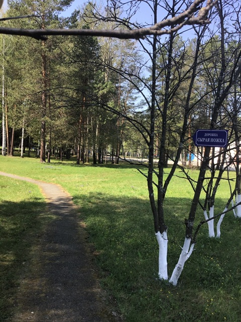 Сиськи