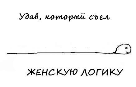 Про женскую логику