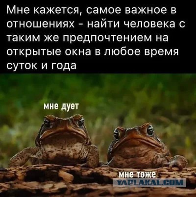 Секрет семейного счастья раскрыт