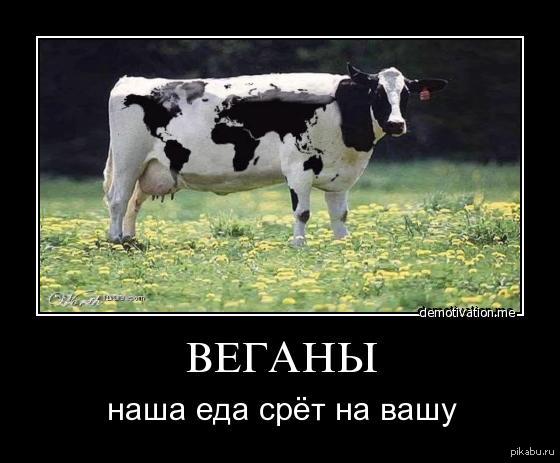 Разговор с веганом