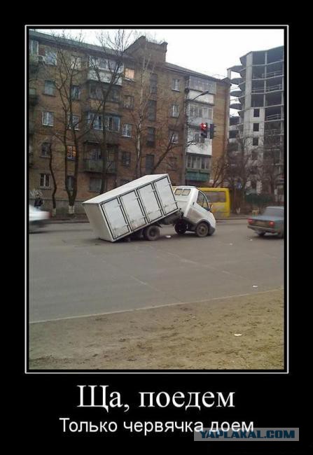 Веселые картинки