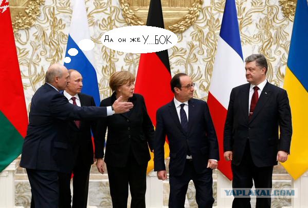 Предлагаю пожабить