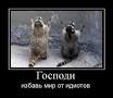 И снова наша Наташа