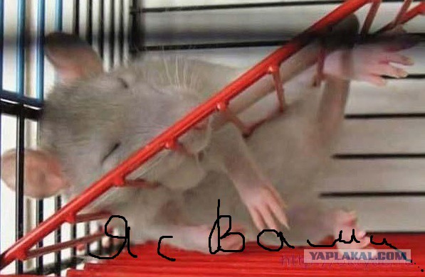 Юмор для исключительных людей...