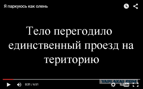 Я паркуюсь как олень
