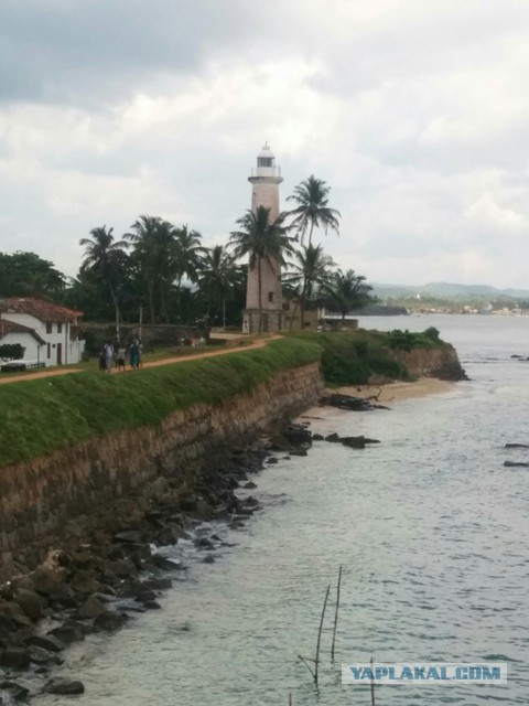 Самостоятельное путешествие в Шри-Ланку