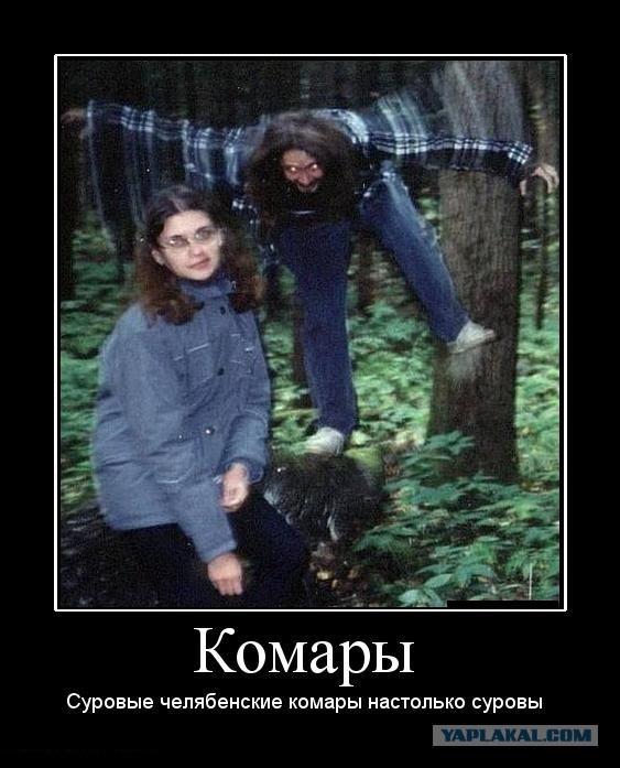 Процесс высасывания крови комаром сняли на видео