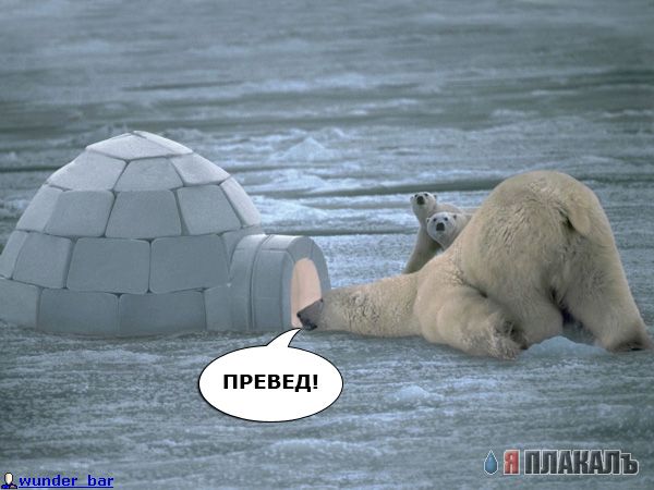 чуть не слили шайтанам