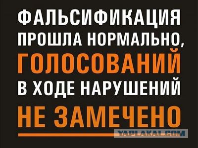 Депутата Единороса поймали во Владивостоке на скупке голосов
