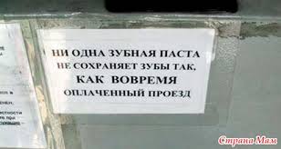 Лежала вся маршрутка, водитель бьет по тормозам, грызет руль и другие оригинальные истории