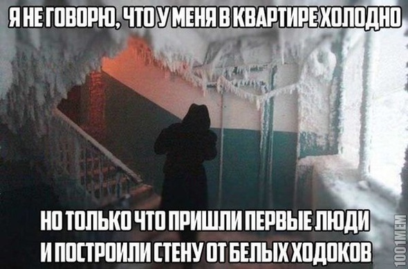 Пятничная деградация! Ура, товарищи!