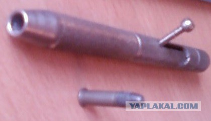 Как мы выжили?