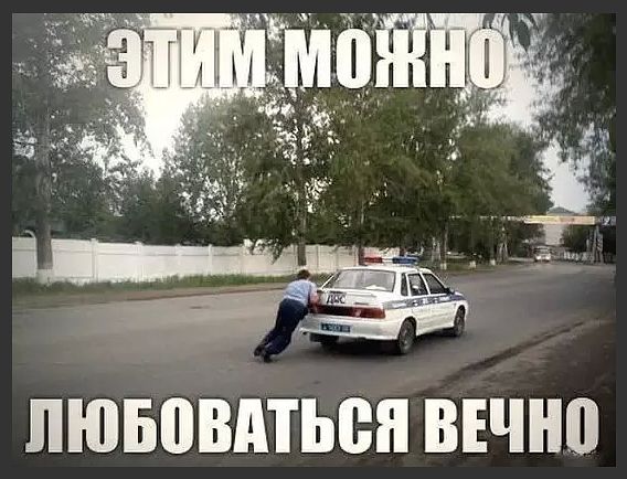 Полчаса мизантропии и интроверсии