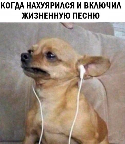 Странный юмор