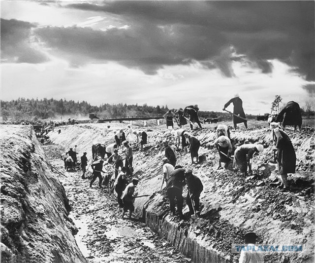 Смоленское сражение 1941 года. Ты помнишь, Алеша, дороги Смоленщины..