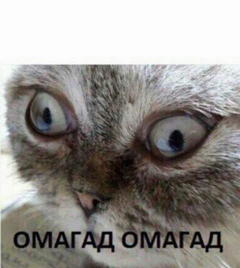 Мой сосед знаменитость!