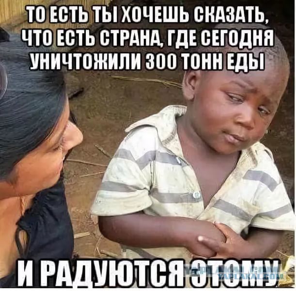 «Запретный плод» для Москвы: челябинская таможня тормознула крупнейшую на Урале партию «санкционки»