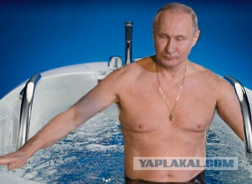 Кому интересно, стерхов нет..