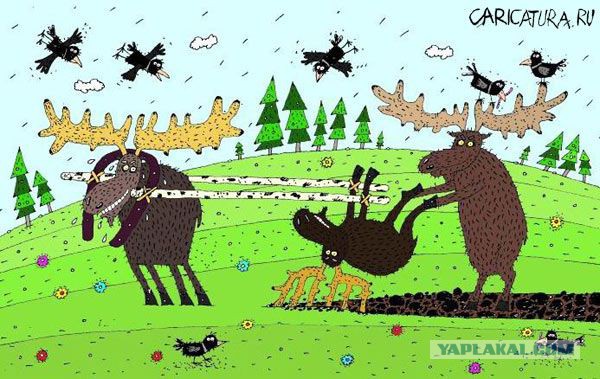 "Не сдала 300 рублей - нет подарка": в школе под Режом учитель отобрала у четвероклассницы грамоту