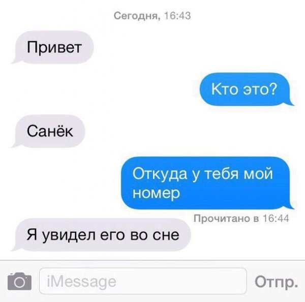Перепись полигамных самцов на ЯПе