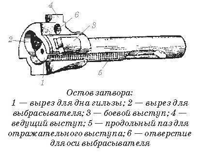 Человек разумный. Но это не точно