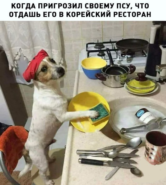Нестандартный юмор