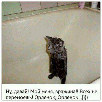 Специфический юмор