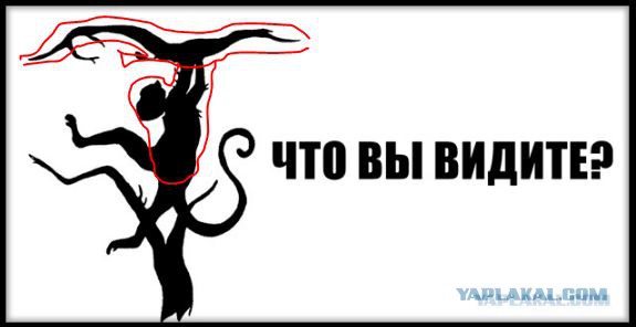 Кого вы увидите первым? Самый точный тест точно определит ваш характер