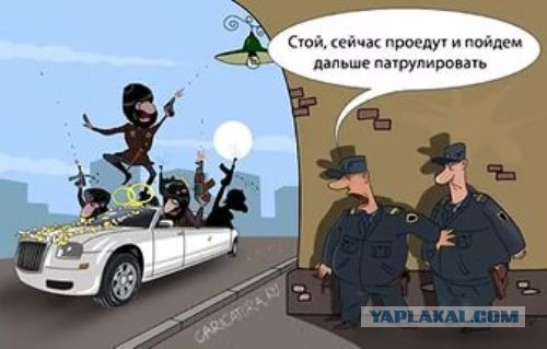 На Копейском шоссе, мужик кидался на полицейских с ножом