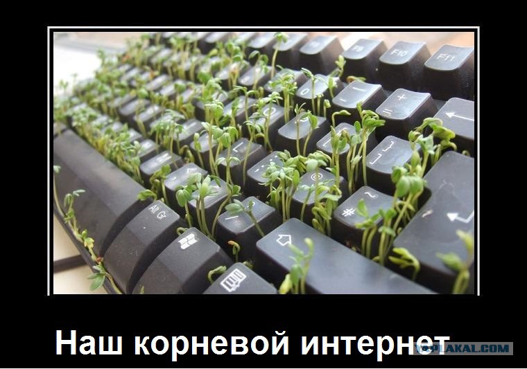 Отключили интернет. Что делать когда отключили интернет. Когда отключился интернет. Почему отключили интернет. Отключили интернет прикол.