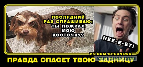 Очень суровый собакен