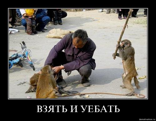 Кого звать, если...