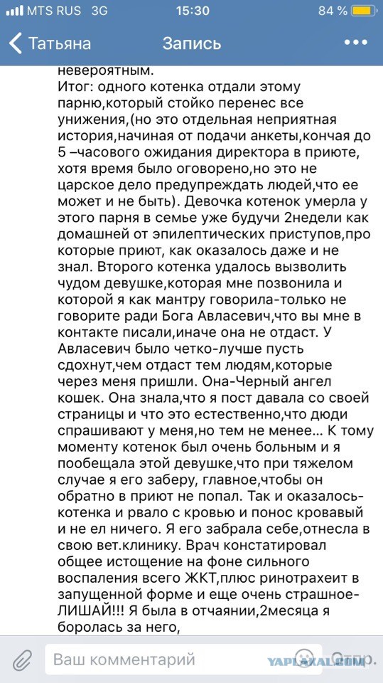 Помогите вернуть кота! Приют "Преданное сердце" украл кота и не отдает!