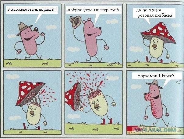 Антигрибные практики и упражнения