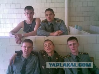 суровая бумага