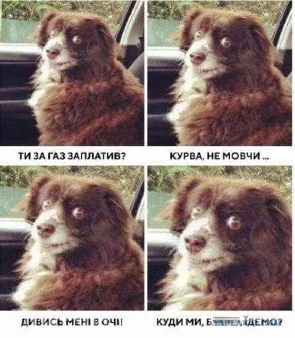 Дмитрий Песков как всегда всё прояснил...