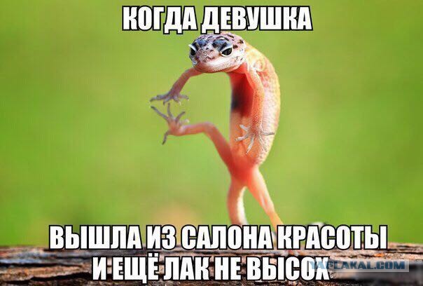 Занятым женам, у которых вечно болит голова - в помощь