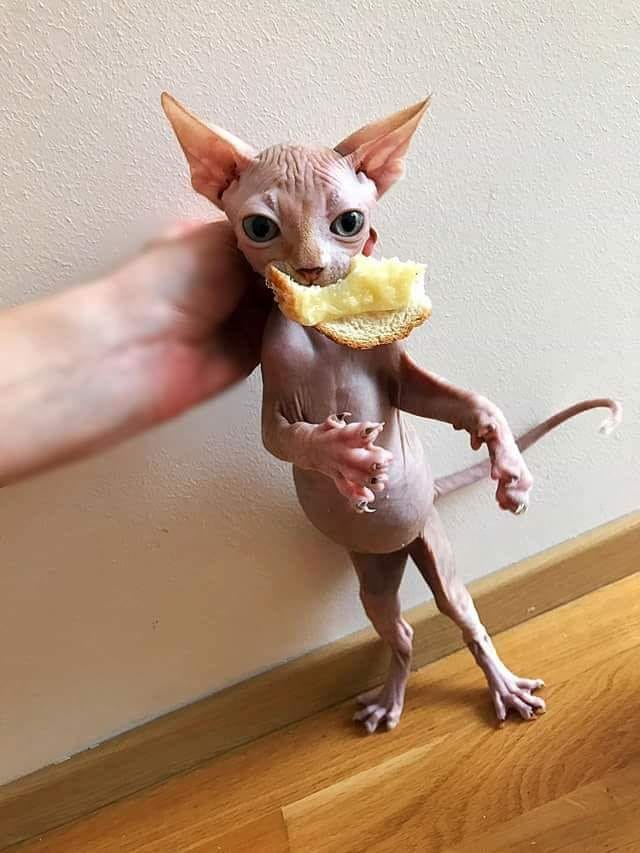 Добрый пример