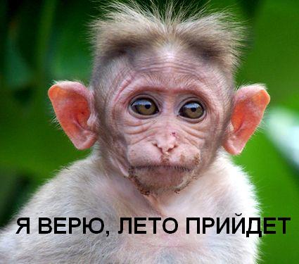 Фотожаба: Скоро лето 2008 !
