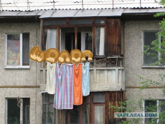 Конкурс: подпись к картинке