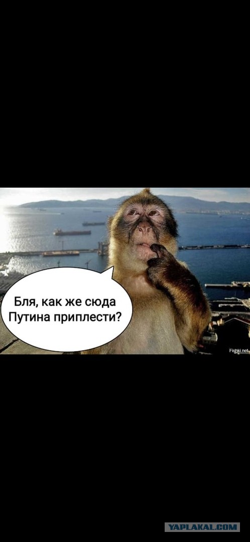 Каша: В Новокузнецке на воде, в Чечне на масле