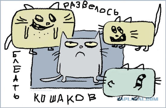 Главное - это точно установить причину