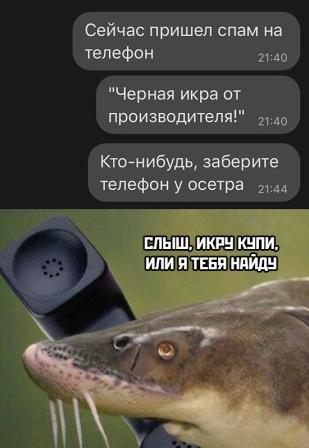 Картинки и мемы для настроения 022