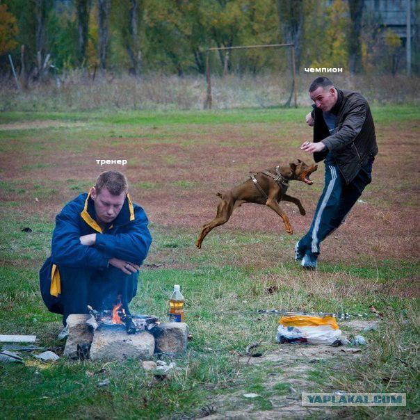 Аршавин уже не тот!