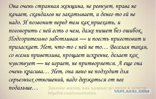 Идеальная жена