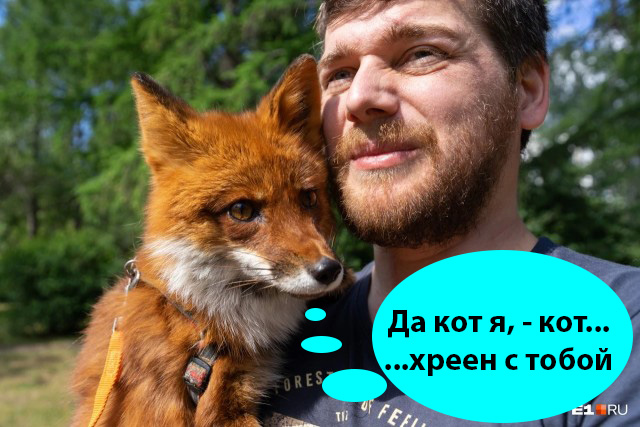 Лисичка Лиля. Спустя восемь лет