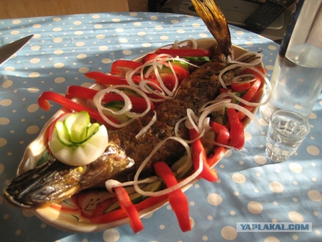 Щука фаршированная
