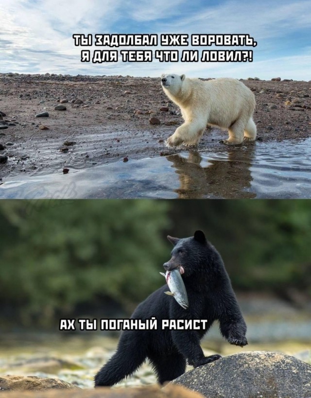 Картинки и мемы для настроения 003