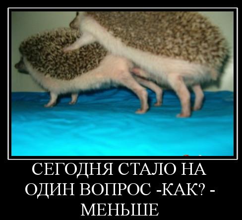 ТруЪ демотиваторы